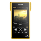 Sony Product Model NumberNW-WM1Z 
